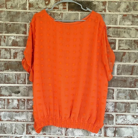 Cato Orange Slit Tie Sleeve Dotted Swiss Blouse - Picture 11 of 11